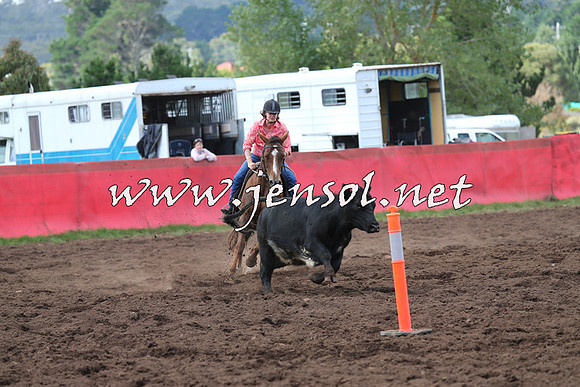 NimmitabelCampdraft2015_0409