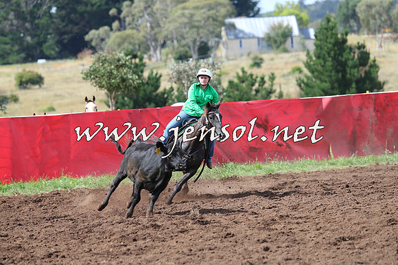 NimmitabelCampdraft2015_0385