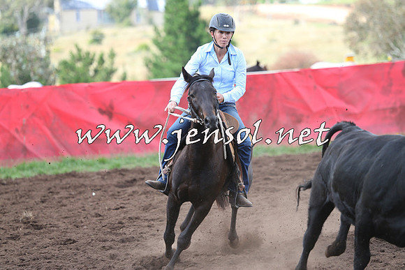 NimmitabelCampdraft2015_0400