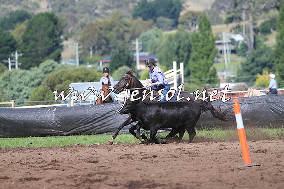 NimmitabelCampdraft2015_0616