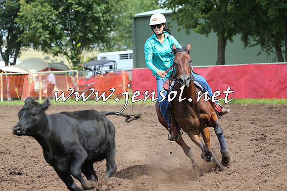 NimmitabelCampdraft2015_0335