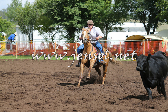 NimmitabelCampdraft2015_0376