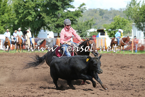 NimmitabelCampdraft2015_0415