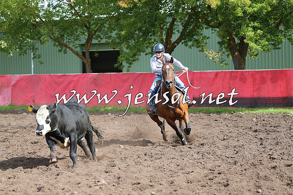 NimmitabelCampdraft2015_0536
