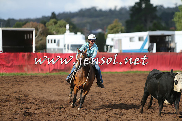 NimmitabelCampdraft2015_0619