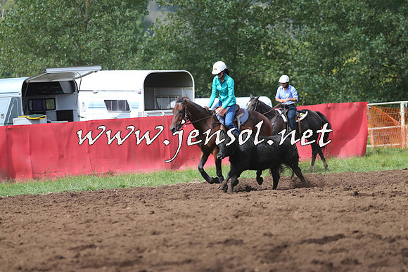 NimmitabelCampdraft2015_0337