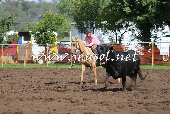 NimmitabelCampdraft2015_0550