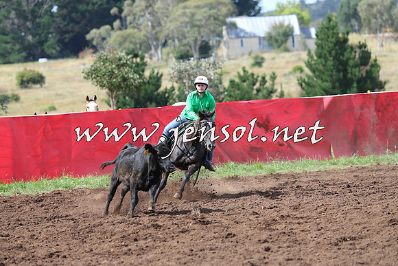 NimmitabelCampdraft2015_0386