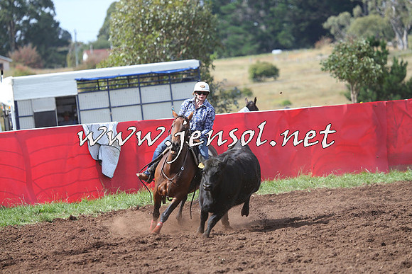 NimmitabelCampdraft2015_0443