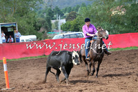 NimmitabelCampdraft2015_0321