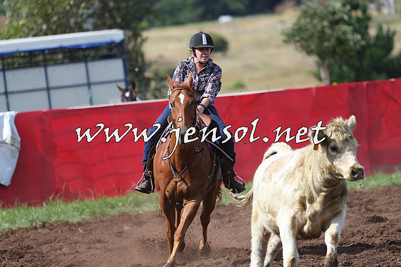 NimmitabelCampdraft2015_0459