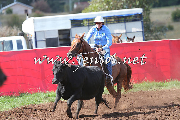 NimmitabelCampdraft2015_0520