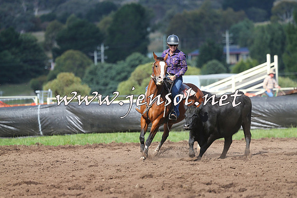 NimmitabelCampdraft2015_0508