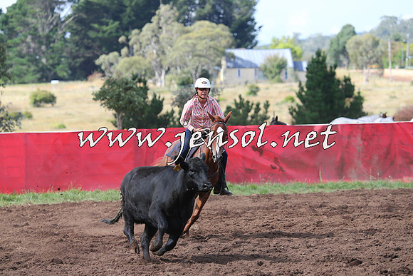 NimmitabelCampdraft2015_0480
