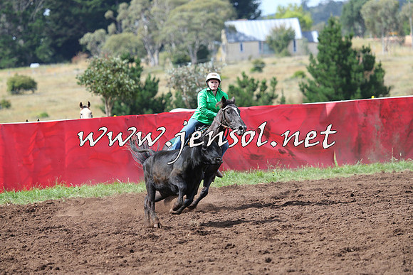 NimmitabelCampdraft2015_0383