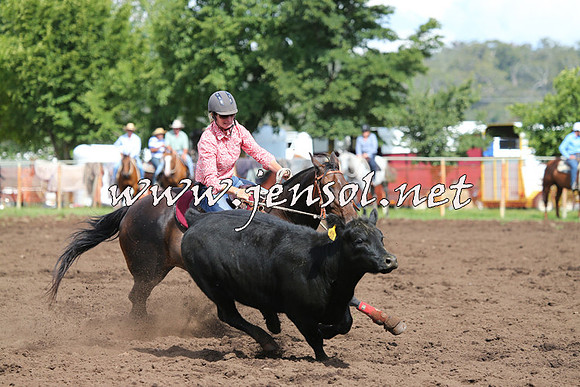 NimmitabelCampdraft2015_0416