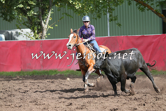 NimmitabelCampdraft2015_0503