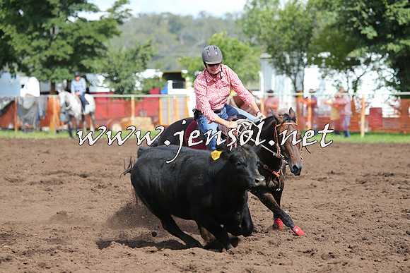NimmitabelCampdraft2015_0428