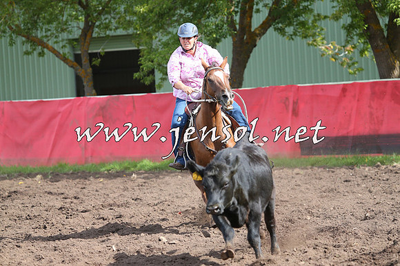 NimmitabelCampdraft2015_0574