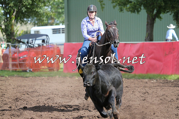 NimmitabelCampdraft2015_0613