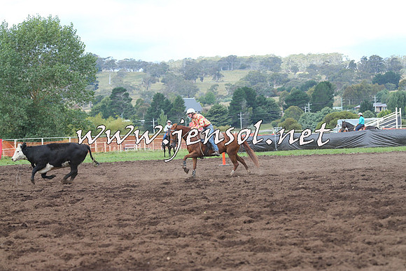 NimmitabelCampdraft2015_0370