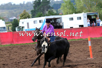 NimmitabelCampdraft2015_0316