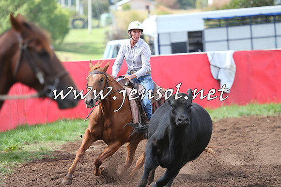 NimmitabelCampdraft2015_0341