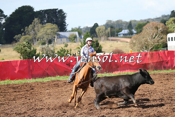 NimmitabelCampdraft2015_0523