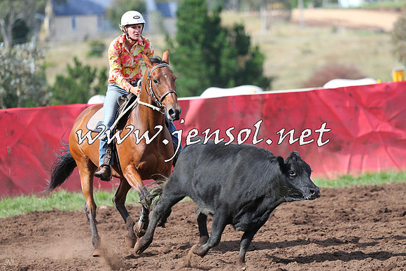 NimmitabelCampdraft2015_0583