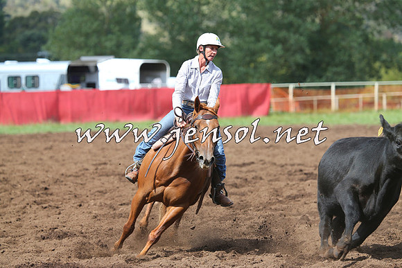 NimmitabelCampdraft2015_0356