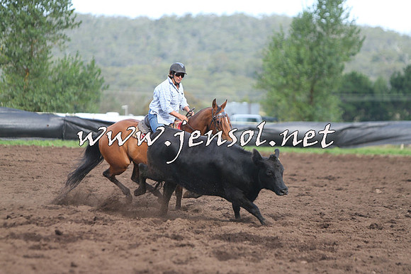 NimmitabelCampdraft2015_0642