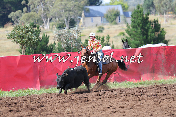 NimmitabelCampdraft2015_0582