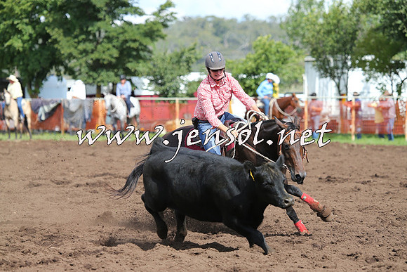 NimmitabelCampdraft2015_0426
