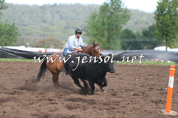 NimmitabelCampdraft2015_0639