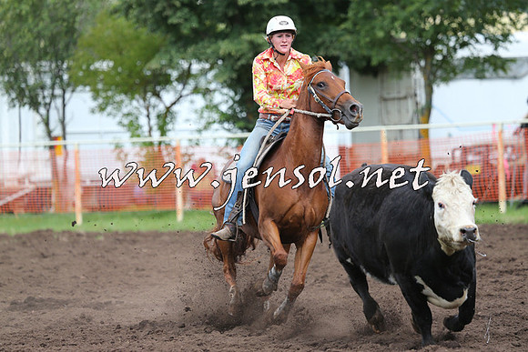 NimmitabelCampdraft2015_0363
