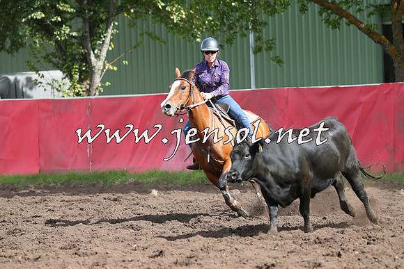 NimmitabelCampdraft2015_0504