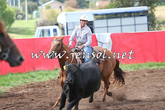 NimmitabelCampdraft2015_0342