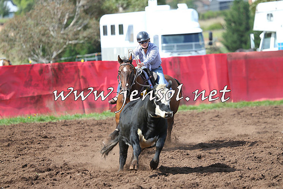NimmitabelCampdraft2015_0530