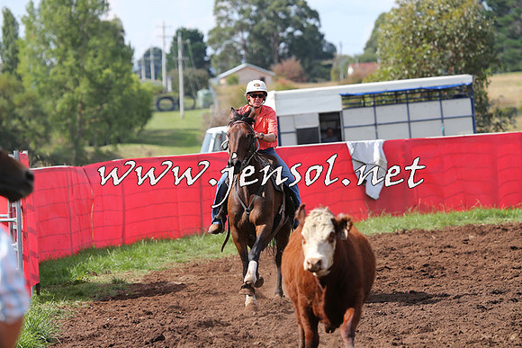 NimmitabelCampdraft2015_0453