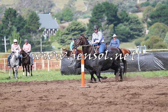 NimmitabelCampdraft2015_0618