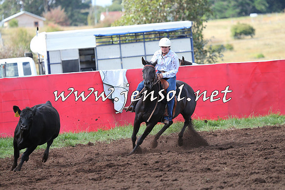 NimmitabelCampdraft2015_0460