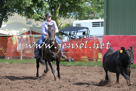 NimmitabelCampdraft2015_0606