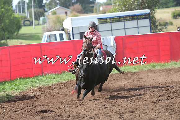 NimmitabelCampdraft2015_0411