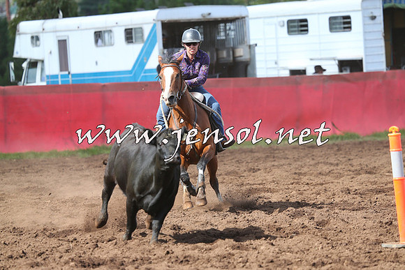 NimmitabelCampdraft2015_0493