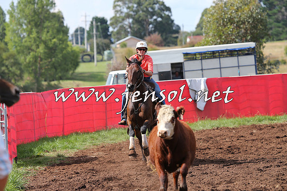 NimmitabelCampdraft2015_0452