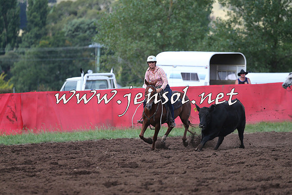 NimmitabelCampdraft2015_0490