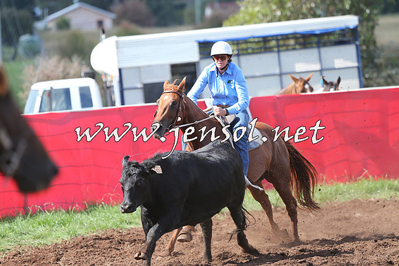 NimmitabelCampdraft2015_0519