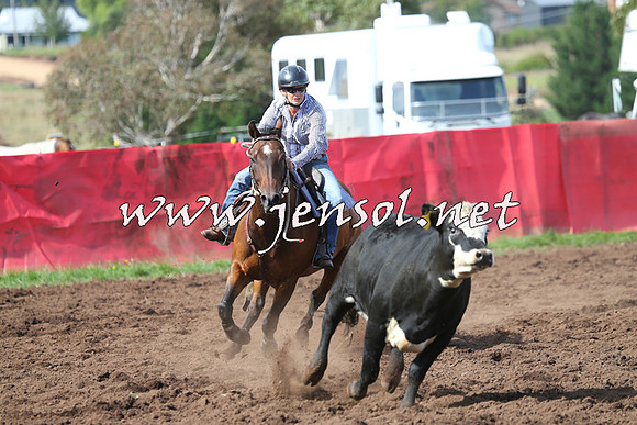 NimmitabelCampdraft2015_0534