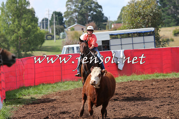 NimmitabelCampdraft2015_0451