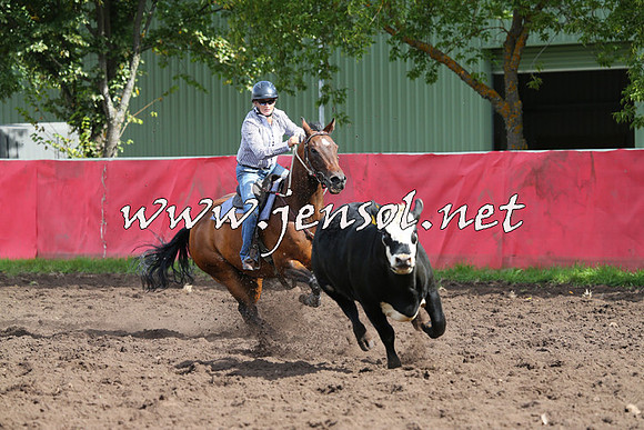 NimmitabelCampdraft2015_0540